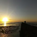 Haus Watterlebnis - Urlaub Mit Hund An Der Nordseekueste Nyaraló Sehestedt