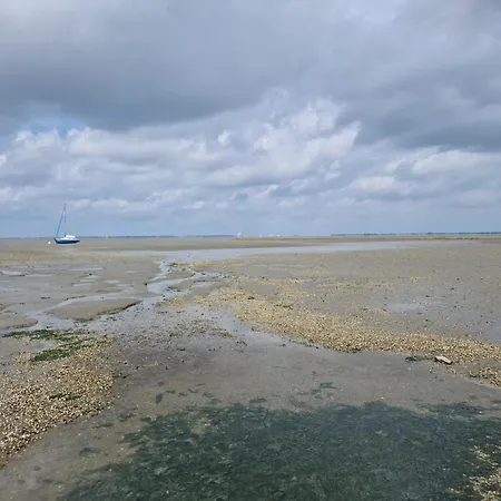 Haus Watterlebnis - Urlaub Mit Hund An Der Nordseekueste *