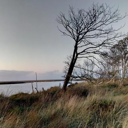 Feriehus Haus Watterlebnis - Urlaub Mit Hund An Der Nordseekueste *