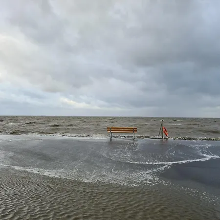 Haus Watterlebnis - Urlaub Mit Hund An Der Nordseekueste * Sehestedt (Lower-Saxony)