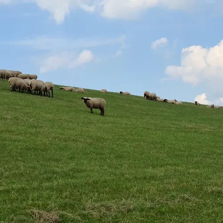 Haus Watterlebnis - Urlaub Mit Hund An Der Nordseekueste Feriehus