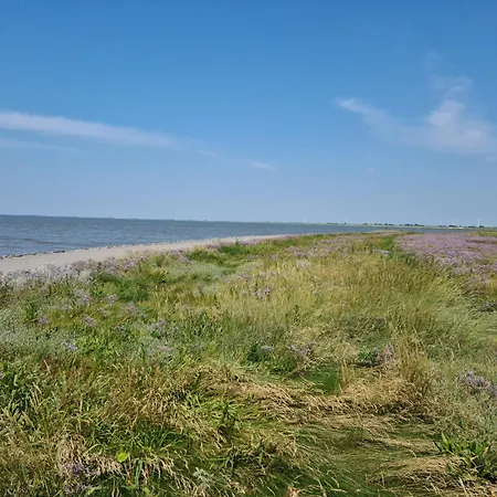 別荘 Haus Watterlebnis - Urlaub Mit Hund An Der Nordseekueste